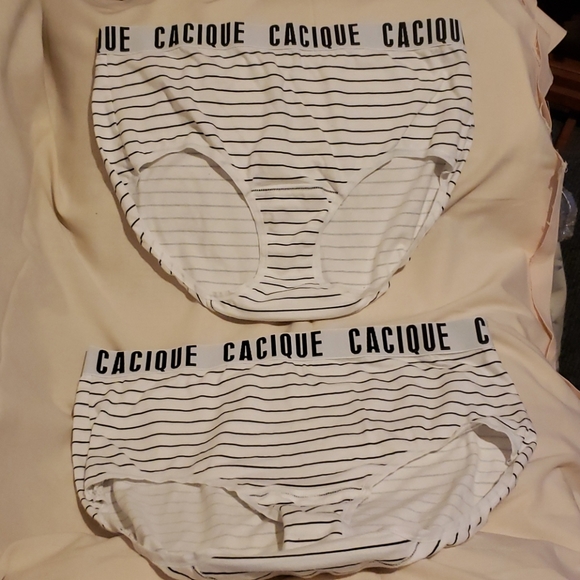 Cacique Intimates & Sleepwear Cacique Bra And Panties Nwot Poshmark